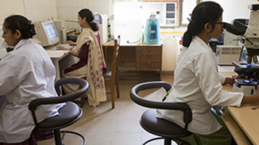 Scientists in a lap looking into microscopes and at computers